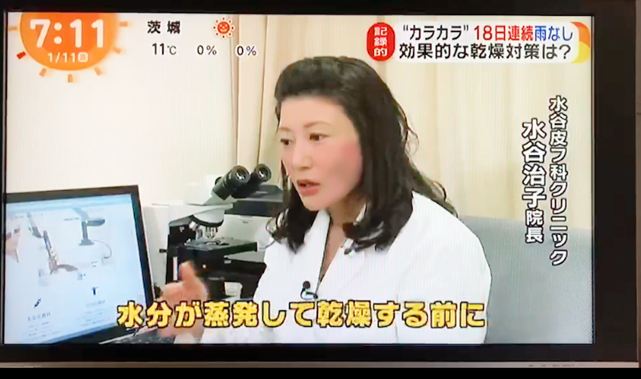 メディア情報